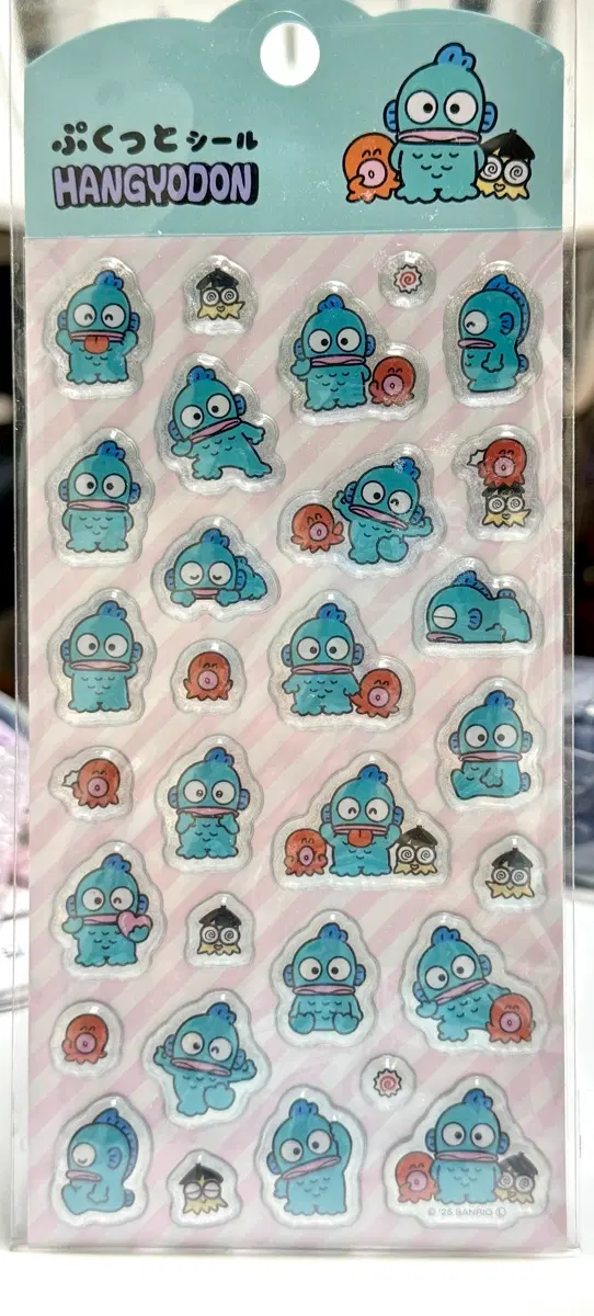 한교동 일본 한정 푸쿳토 씰 스티커