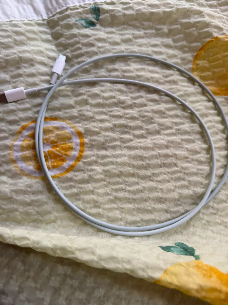 애플 아이폰 USB-C to 정품케이플 1m 5000