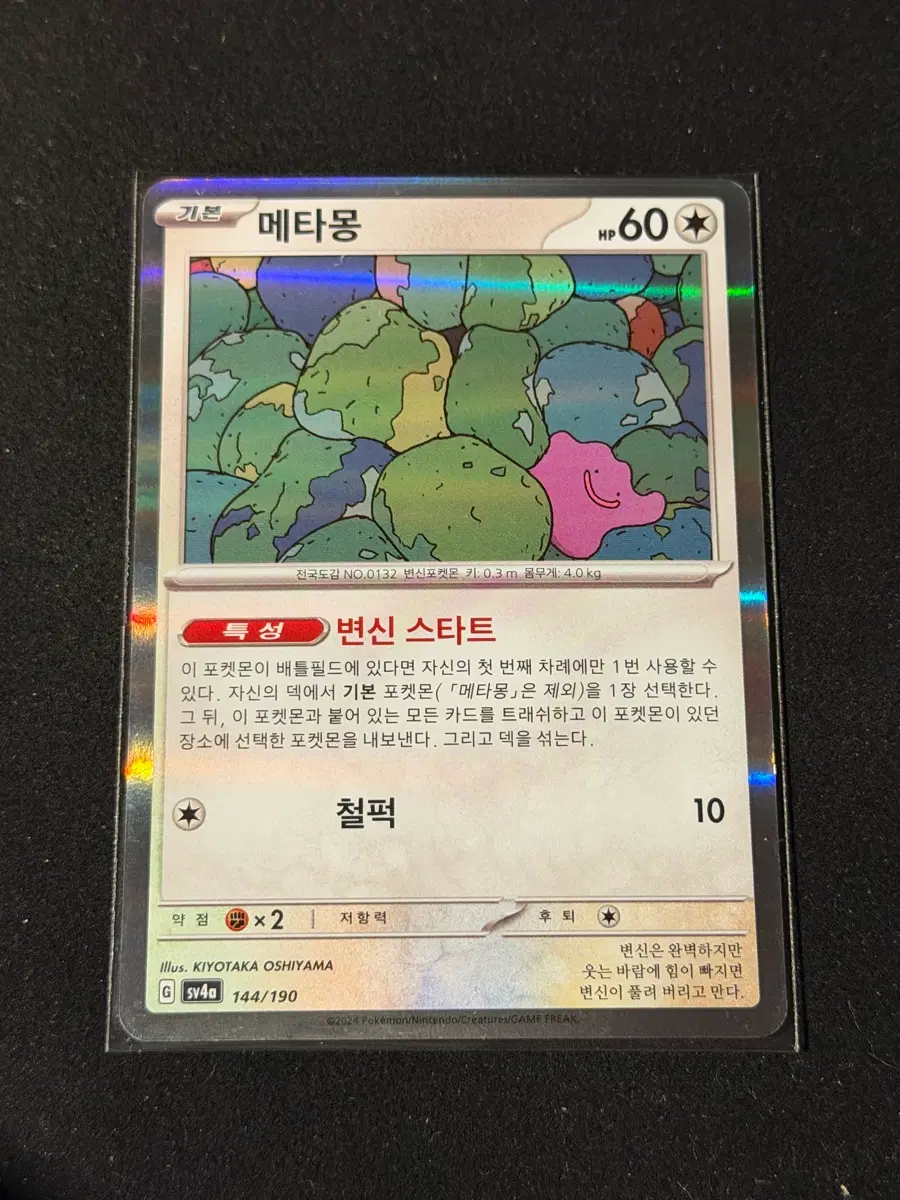 포켓몬카드 메타몽 홀로