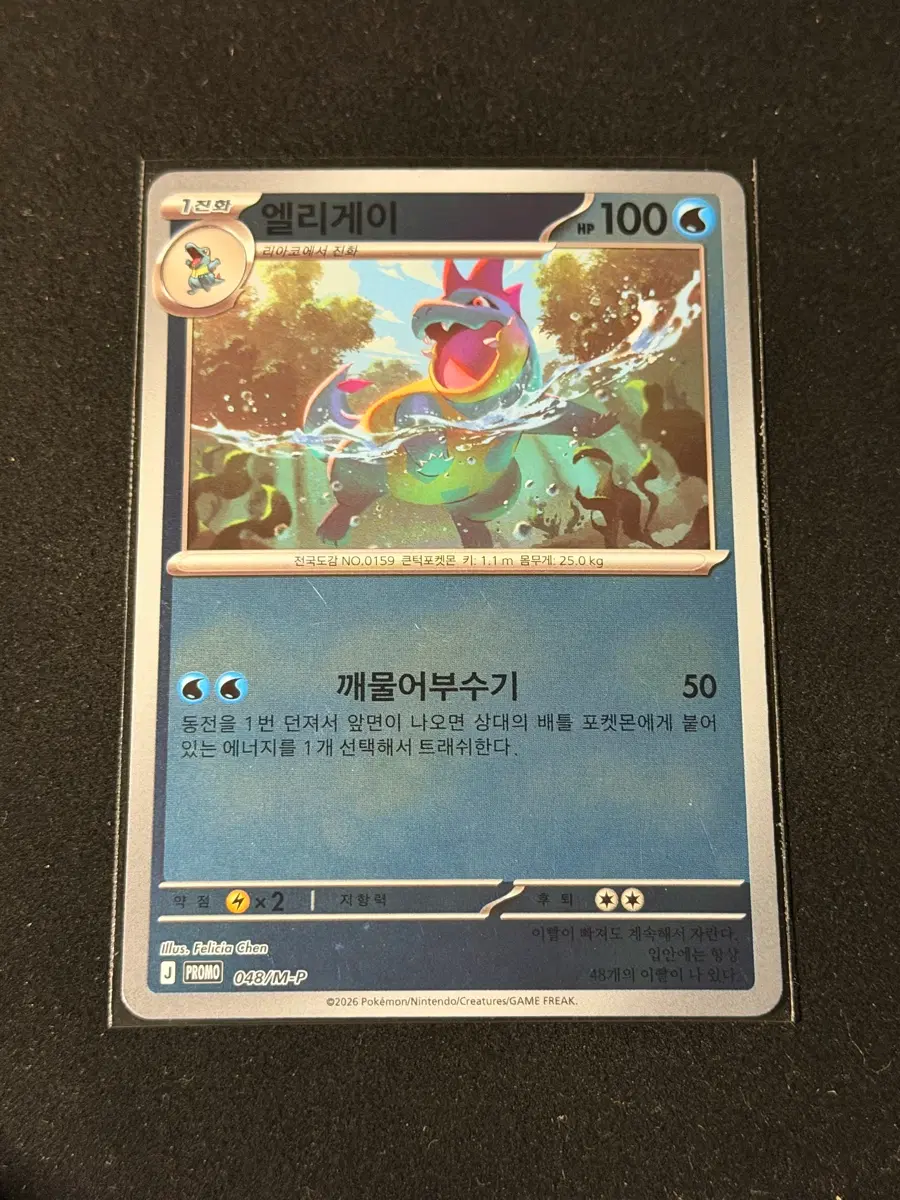 포켓몬카드 엘리게이 홀로 프로모