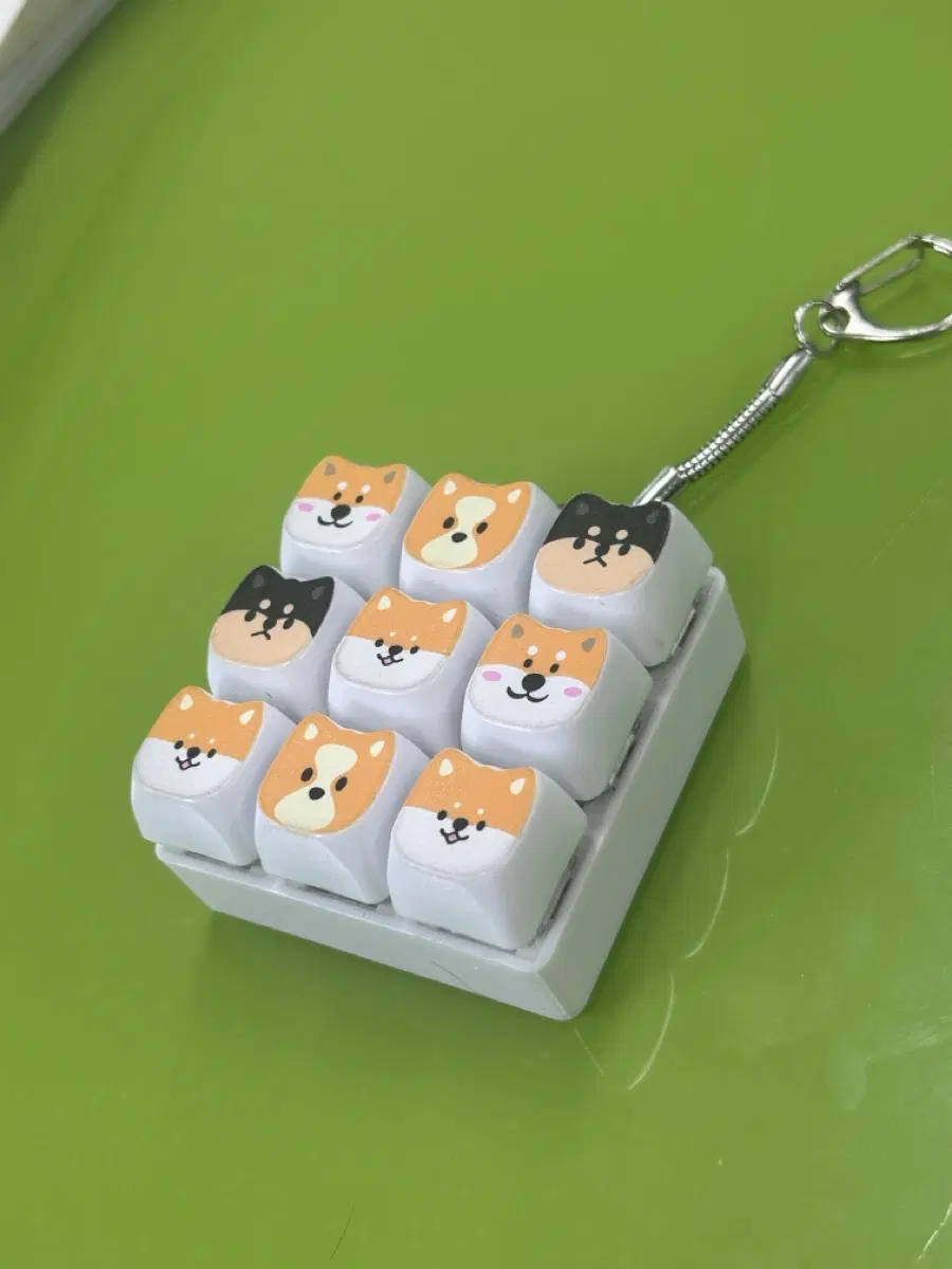 시바견 키캡 물물교환
