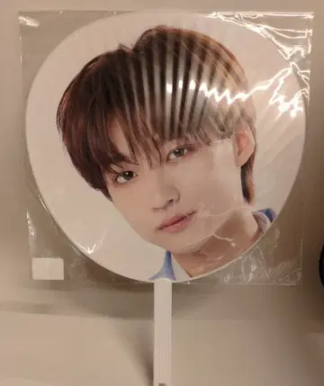 ICEx 2026 EBiDAN THE LIVE 15주년 기념 시가 리쿠 빅 부채