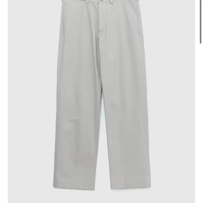 NWT ORDINARY CHINO PANTS (BEIGE) L