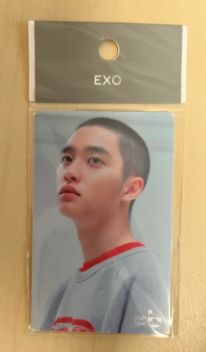EXO 디오(도경수) 캐시비 교통카드