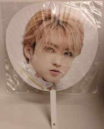 초특급 2024 EBiDAN THE LIVE CRUISE 유키 Big 부채