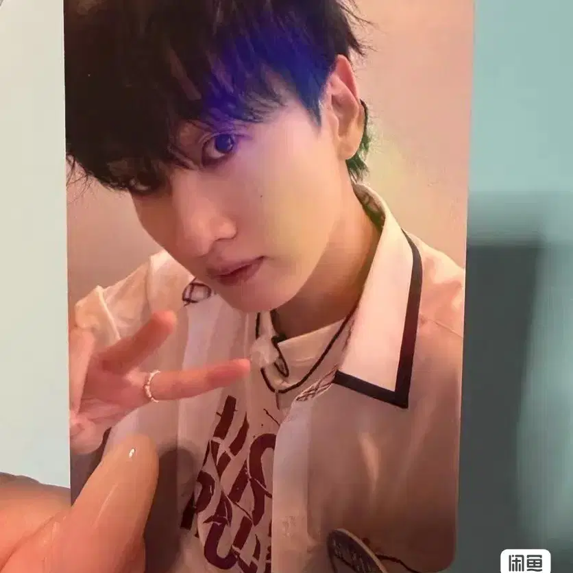 예판 슈퍼주니어 대만 포카