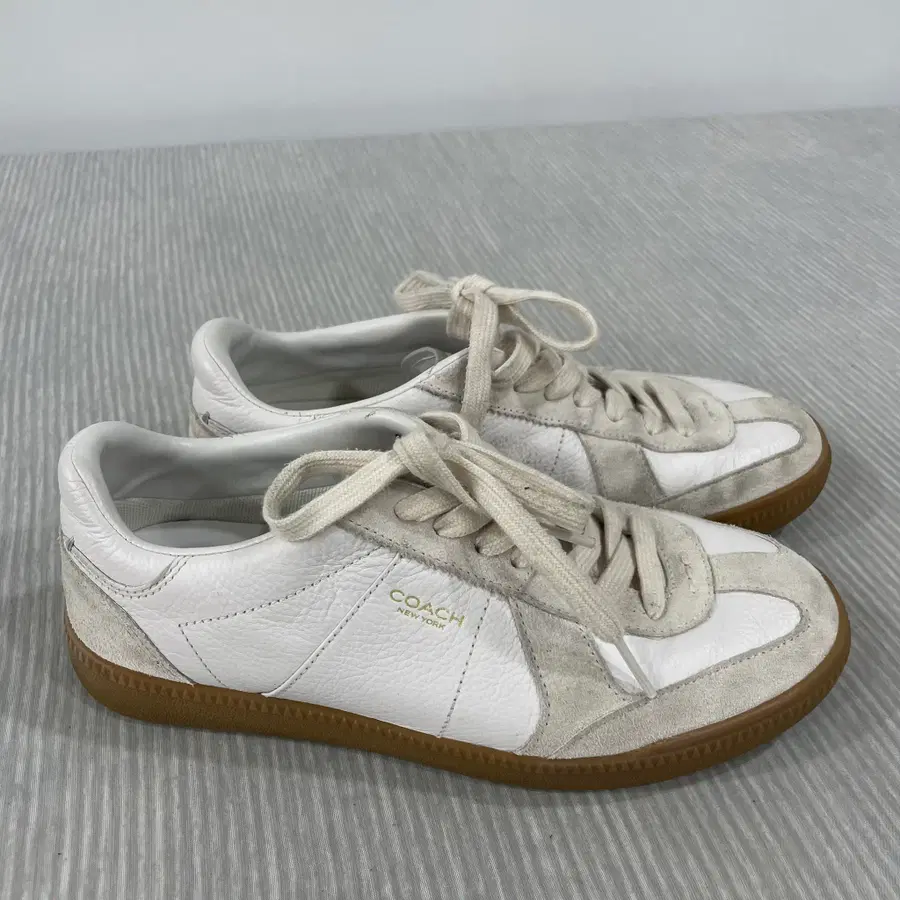 1191) Coach 코치 엘리스 로우탑 스니커즈 240mm