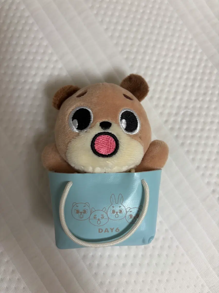 데이식스 일본 엠디 돈