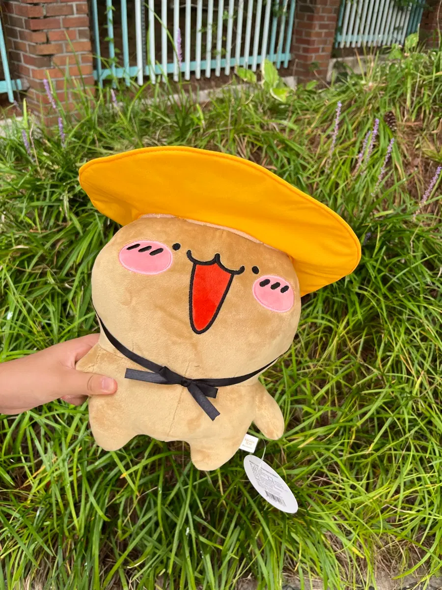 와다다곰 봉제 인형(25cm