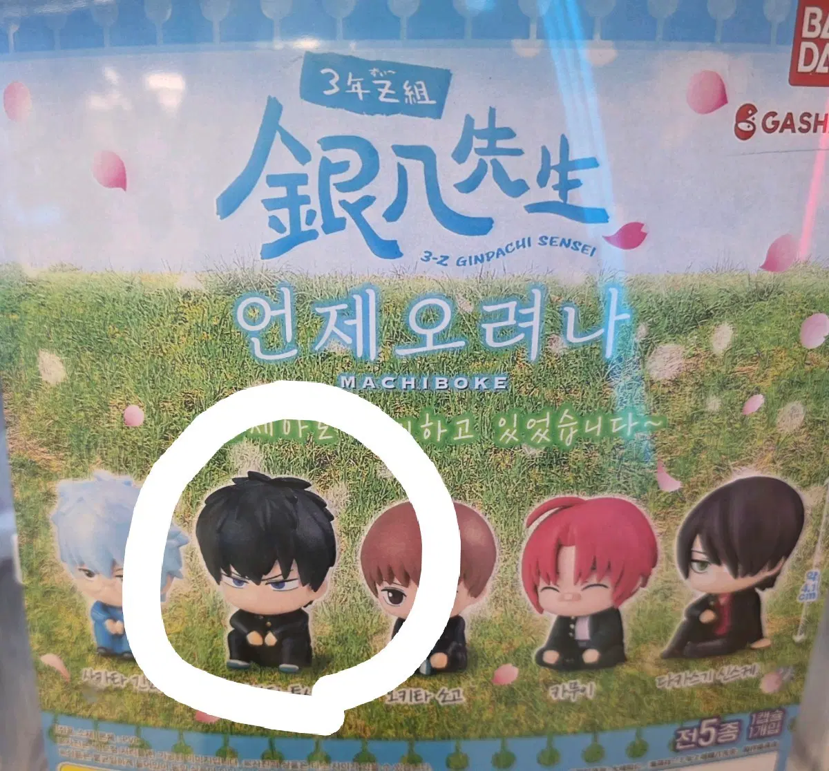3z 마치보케 가챠 히지카타