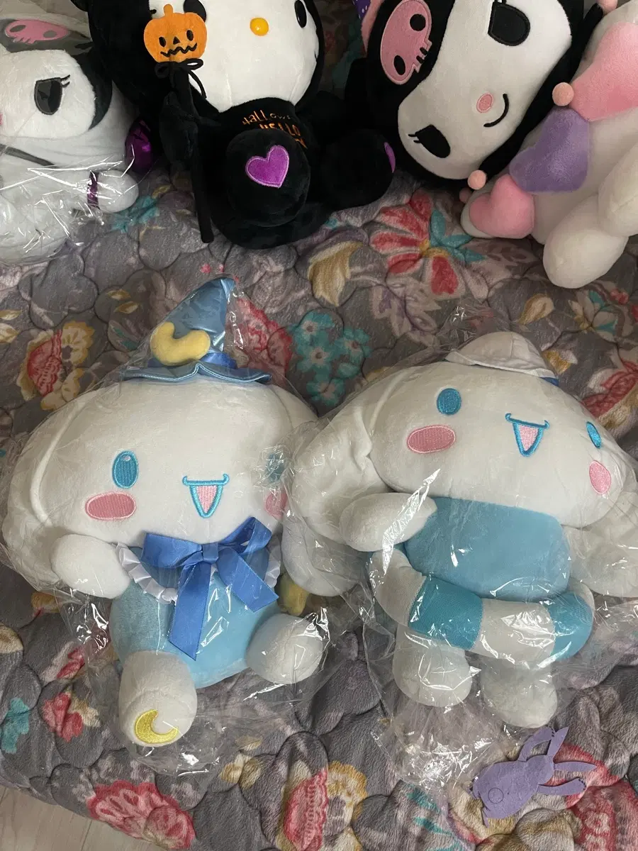 미사용 산리오 중형 키티,시나모롤,쿠로미