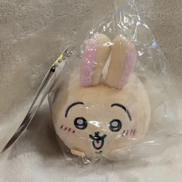 에이코 모치코로링 치이카와 (먼작귀) 토끼