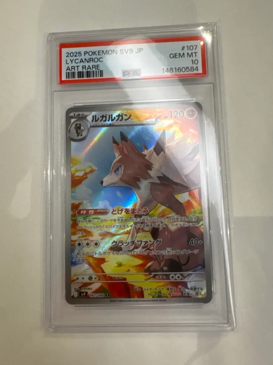 일판 루가루암ar psa10
