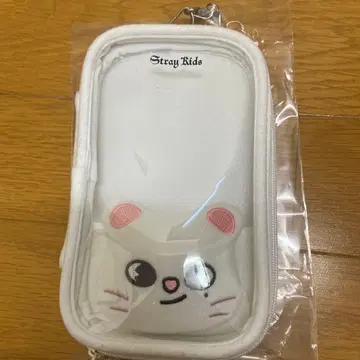 Stray Kids 아스쿠타 파우치
