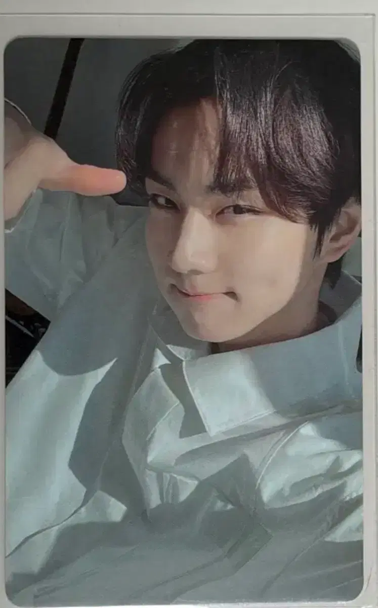 엔하이픈 하카나이 햇살정원
