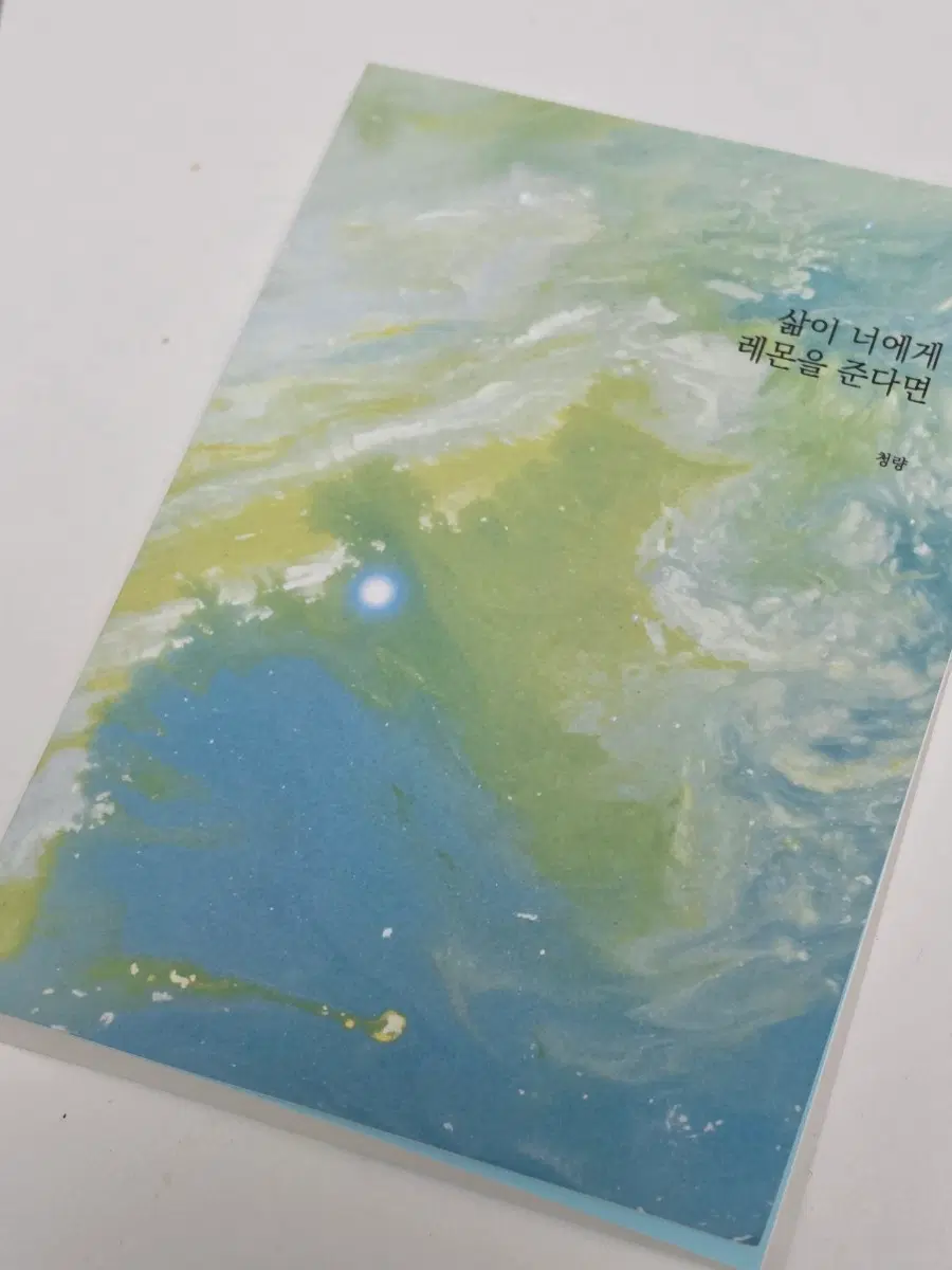 블랙배저) 릭힐 회지 소장본 원가 이하 양도