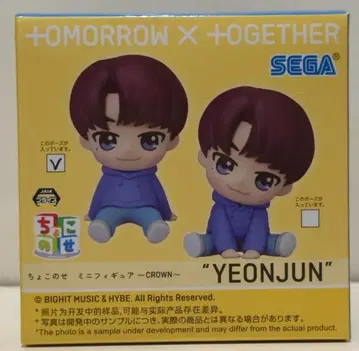 SEGA 쪼꼬노세 미니 피규어 CROWN YEONJUN 노멀 포즈