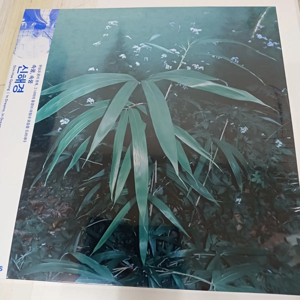 신해경 속꿈 속꿈 ( 미개봉 LP)