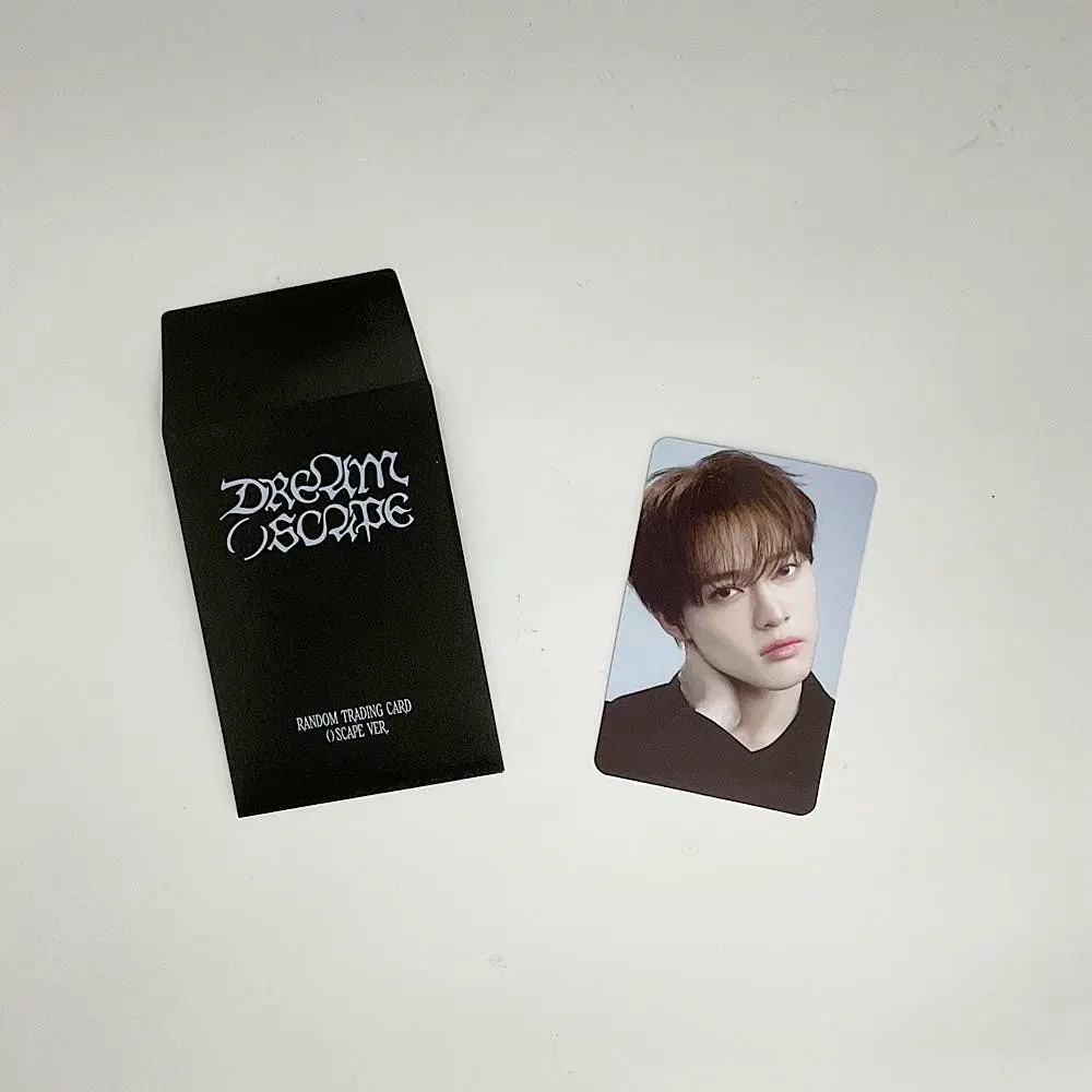 엔시티 드림 천러 드림 스케이프 트레이딩카드 포토카드 B버전 1 NCT DREAM CHENLE DREAM( )SCAPE TRADINGCARD PHOTOCARD B_1
