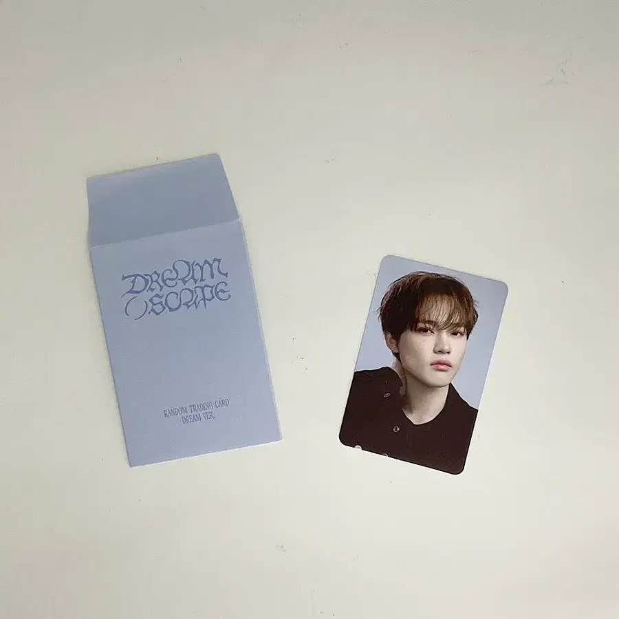 엔시티 드림 천러 드림 스케이프 트레이딩카드 포토카드 A버전 1 NCT DREAM CHENLE DREAM( )SCAPE TRADINGCARD PHOTOCARD A_1