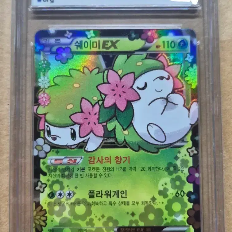 포켓몬카드 심쿵 쉐이미 EX brg 10점
