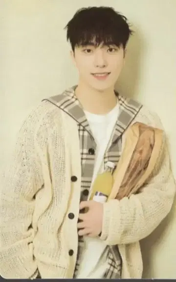 SEVENTEEN DINO 2024 CARAT LAND 63/87