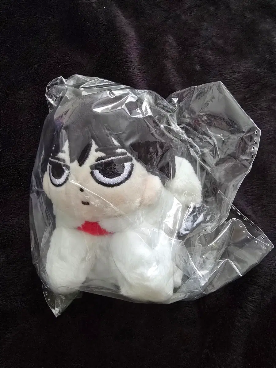 [미개봉] 에스파 윈터 인형 직둥이