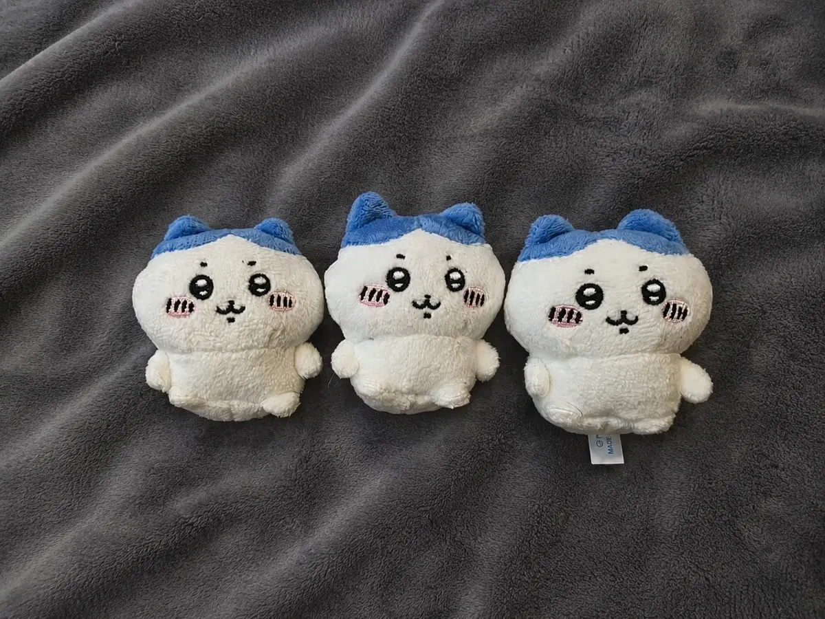 하치와레 앉은누이 개별판매