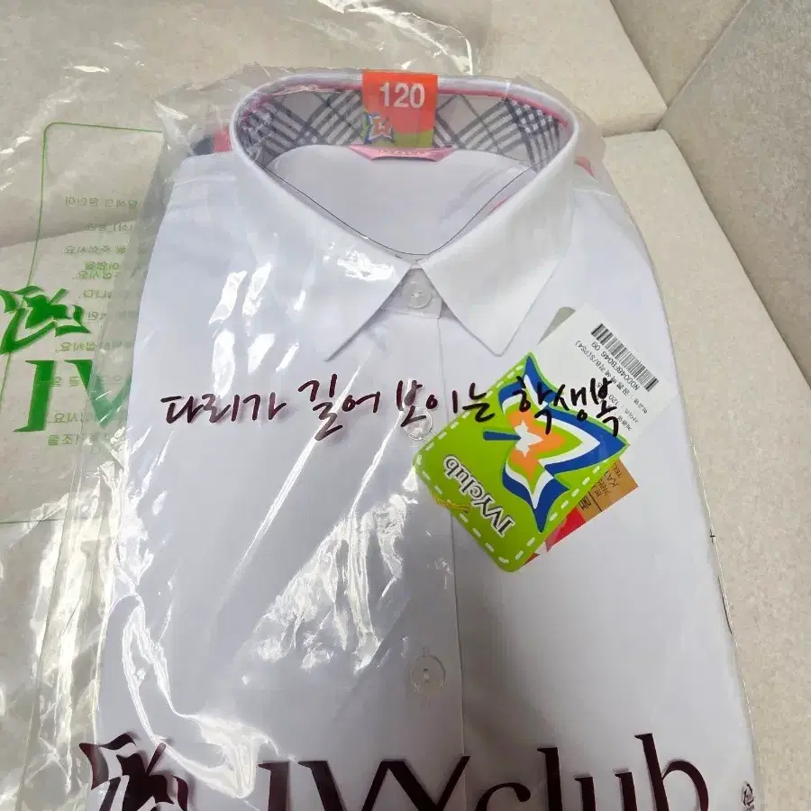 평택중학교 여학생 교복 생활복 체육복