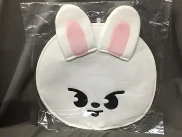 StrayKids 2023 MANIAC ENCORE inJAPAN 리노 IMAGE PICKET CASE SKZOO
