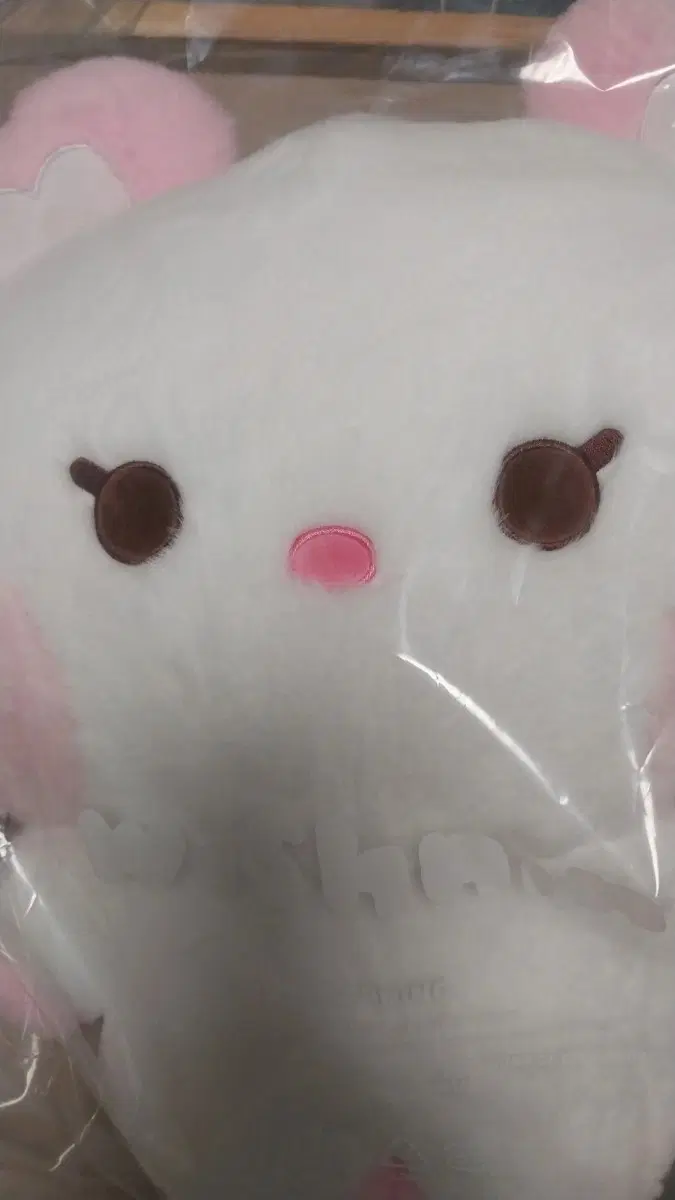 새상품 | 엔시티위시 빅허그쿠션 팡이니니 사쿠야 팡이
