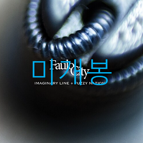 [미개봉] 파울로시티 (Faulo City) - Imaginary Line, Fuzzy Nation (2CD)