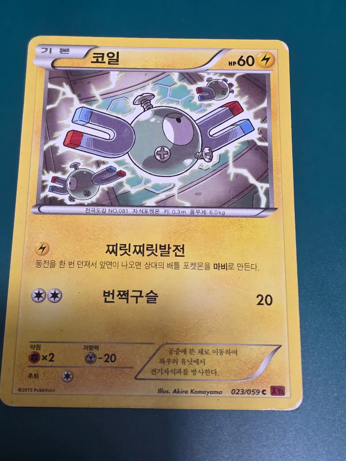 포켓몬 카드 코일 023 xy