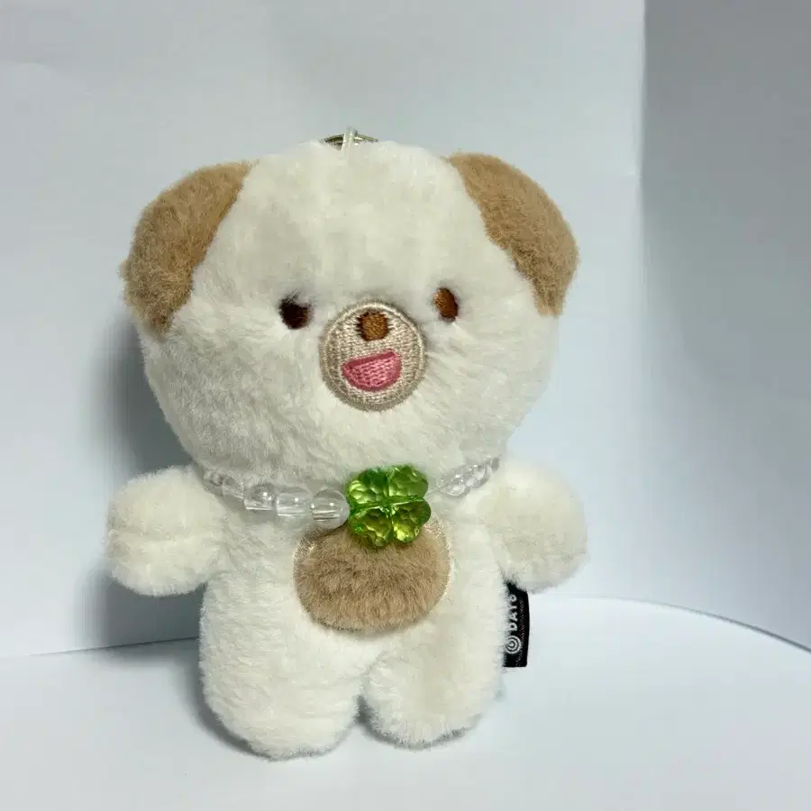 데이식스 쁘띠멀즈 돈