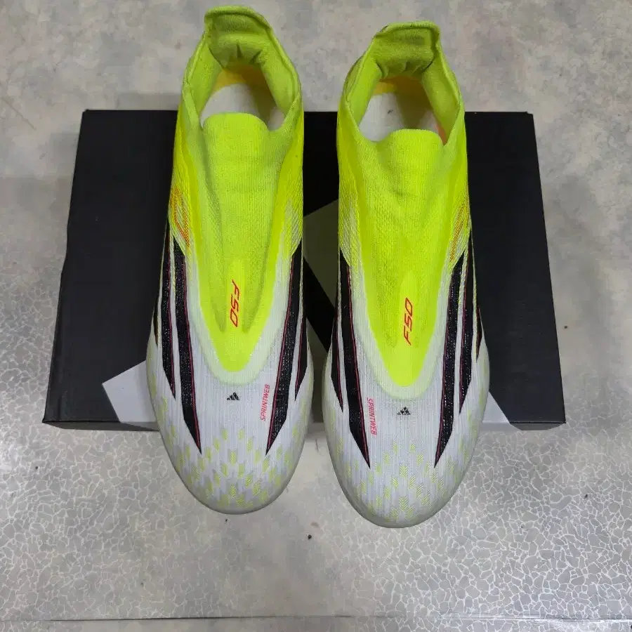 [260] F50 엘리트 LL TF