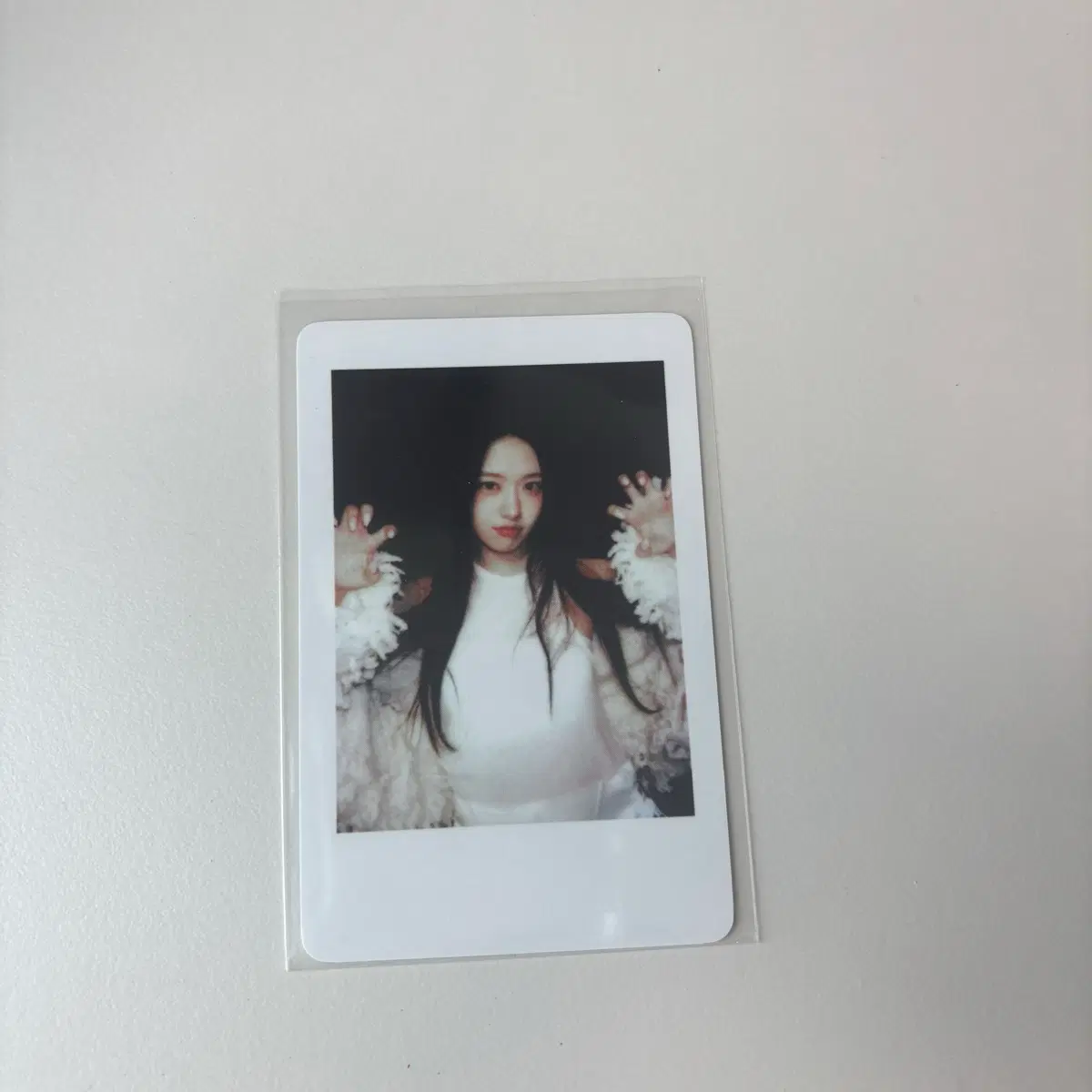 엠파시 유진 폴라 포카 판매