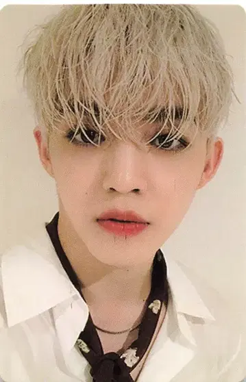 SEVENTEEN An Ode S.COUPS 트레이딩 카드 화이트