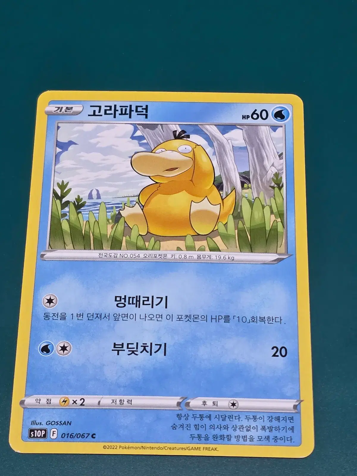 고라파덕 016 067 sp10 고전