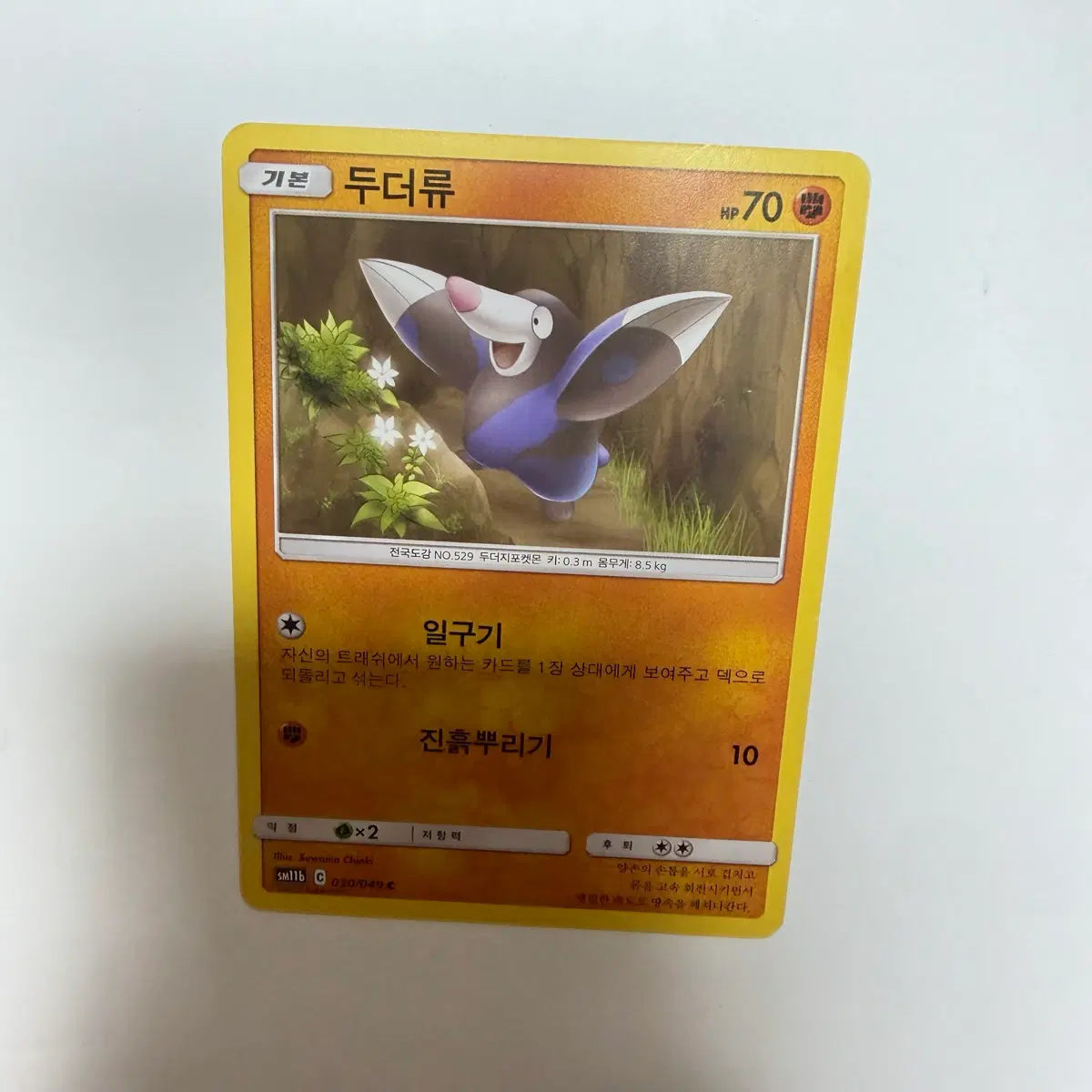 두더류 포켓몬카드