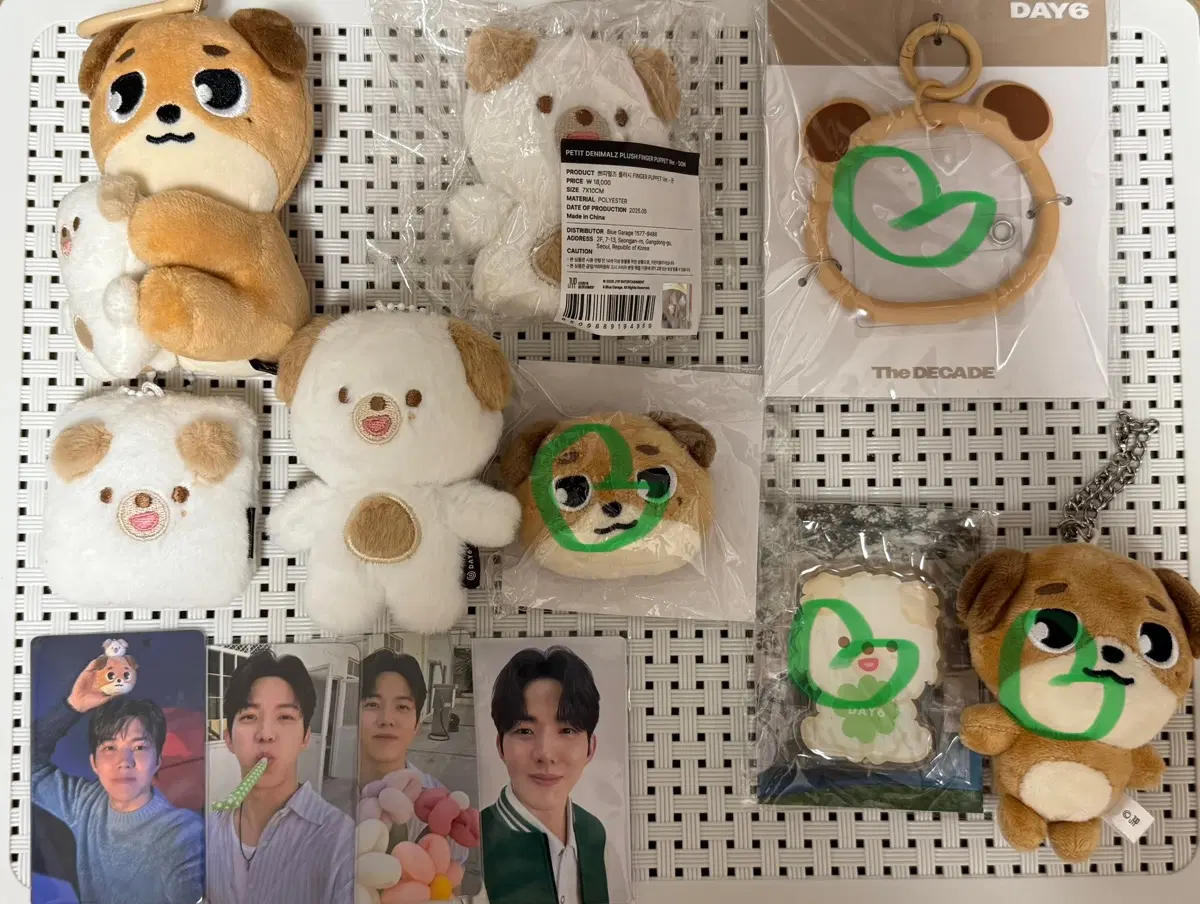 데이식스 데니멀즈 도운 돈 인형 일괄(원가이하)