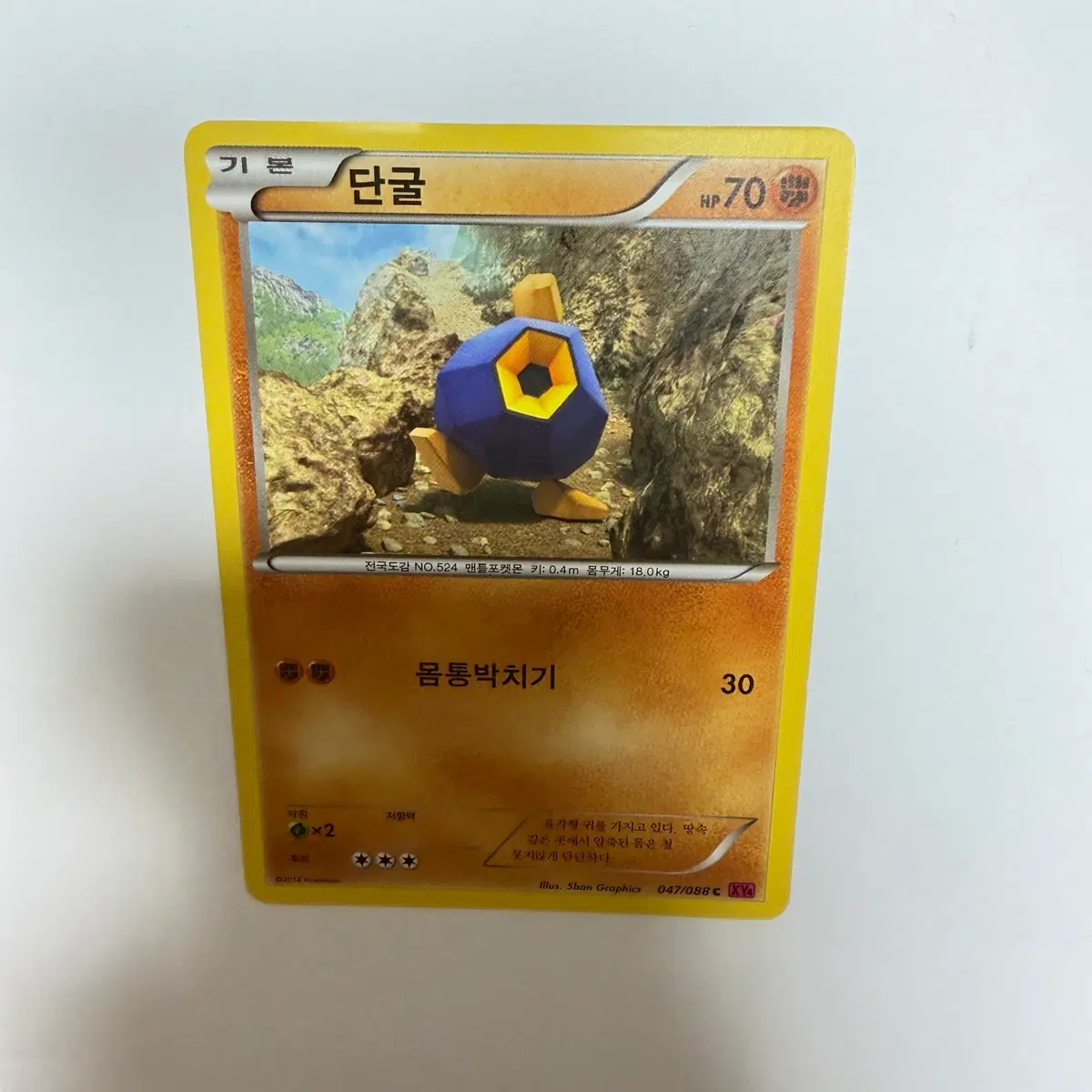 단굴 포켓몬카드