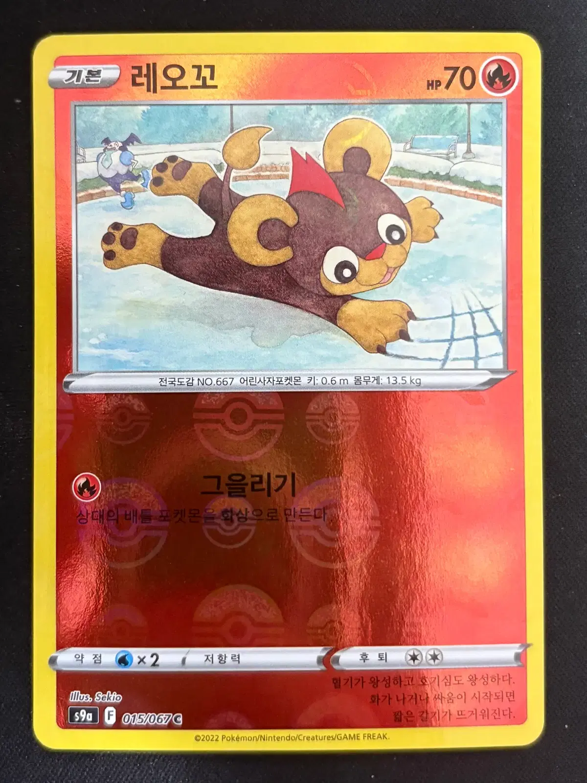 포켓몬카드 몬스터볼 홀로 레오꼬