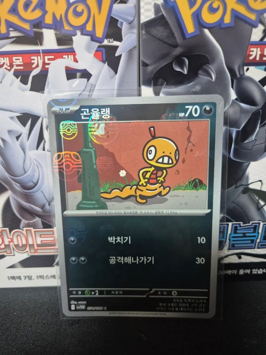 포켓몬카드 곤율랭 마스터볼