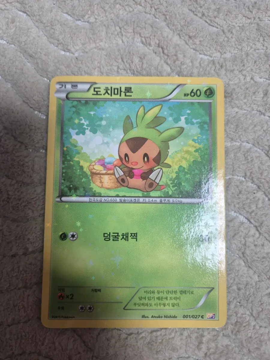 포켓몬카드