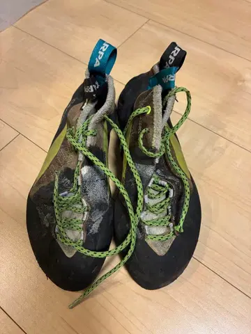 클라이밍 신발 SCARPA maestro