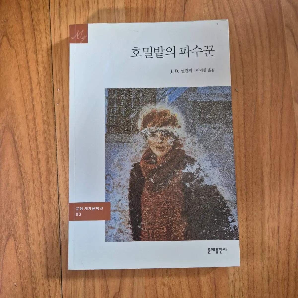 호밀밭의 파수꾼 고전 JD 샐린저 문예 소설