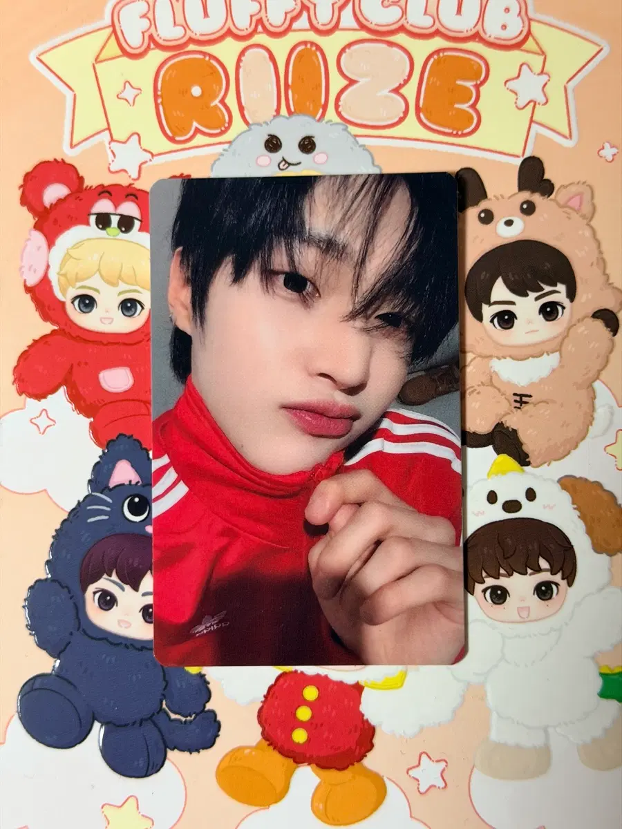 라이즈 RIIZE 원빈 FAME 팝머치 POPMERCH 포카 양도