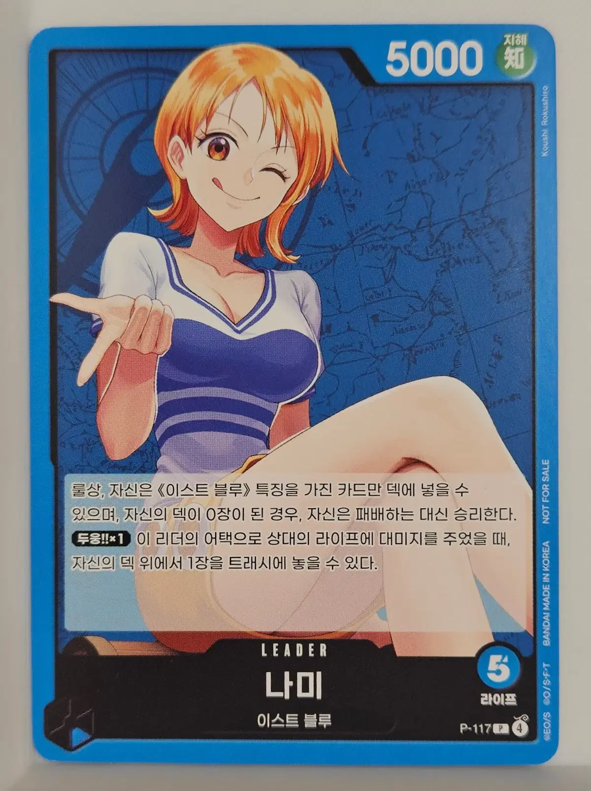 P-117 나미 리더카드