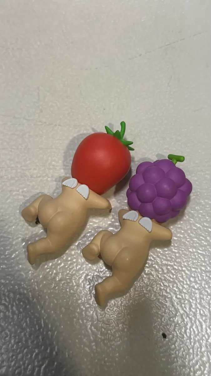 소니엔젤히퍼 토마토 포도
