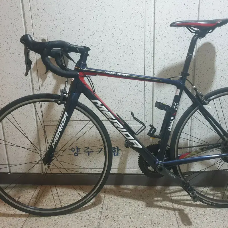 메리다 스컬트라 100